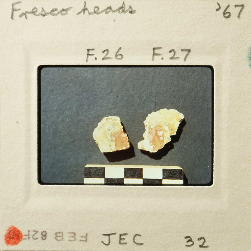 Two small, yellowish-brown rock samples on a dark background with measurement lines and numbers.