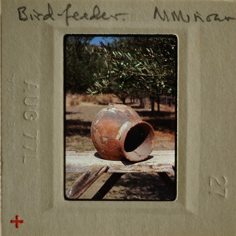 A clay pot sitting on a wooden bench outdoors.