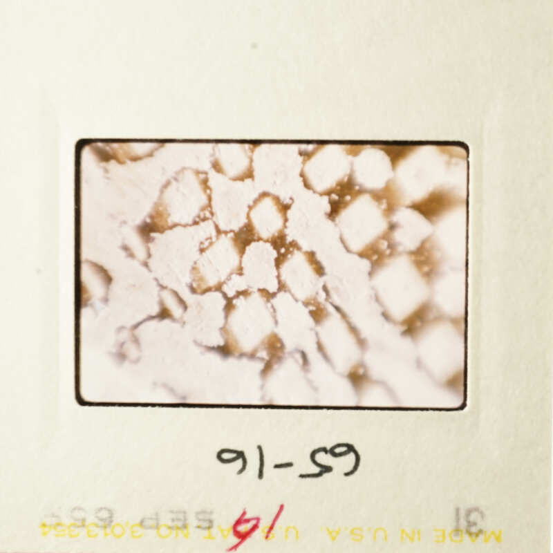 This is an image of a microscopic view of a diamond pattern of white on red-brown background.