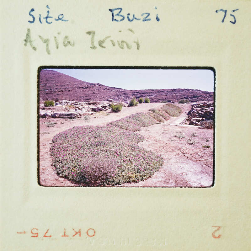 An old photograph of a rugged landscape with shrubs and rocks, possibly from the 1970s.