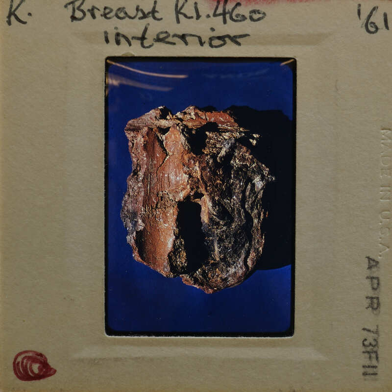 Terracotta fragment (K1.460) on blue background.