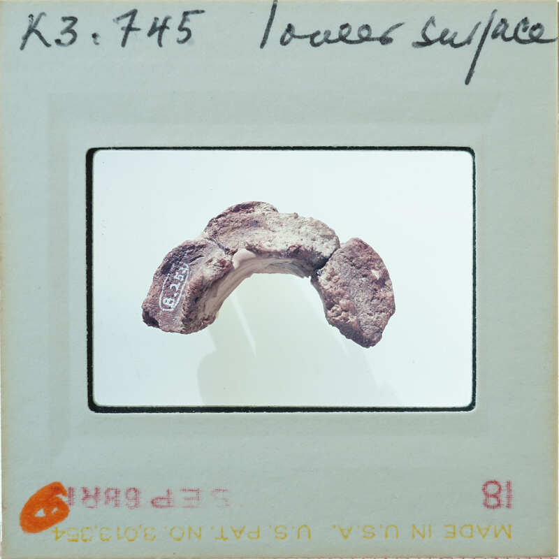 Fragment of circular item.