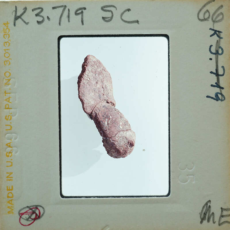 A photograph of a small, irregularly shaped rock with a reddish-brown color.