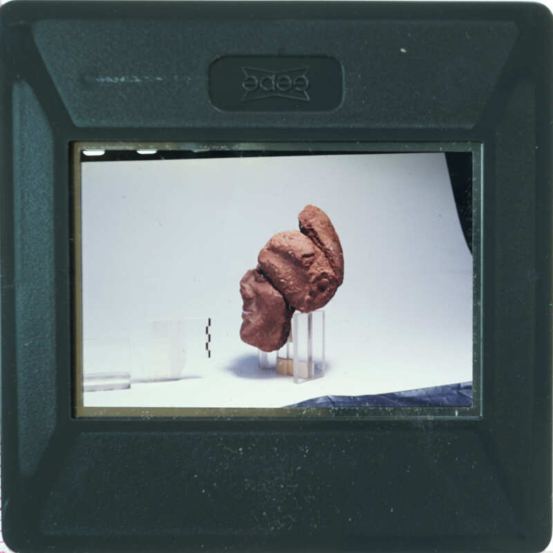 A clay sculpture of a head on display.