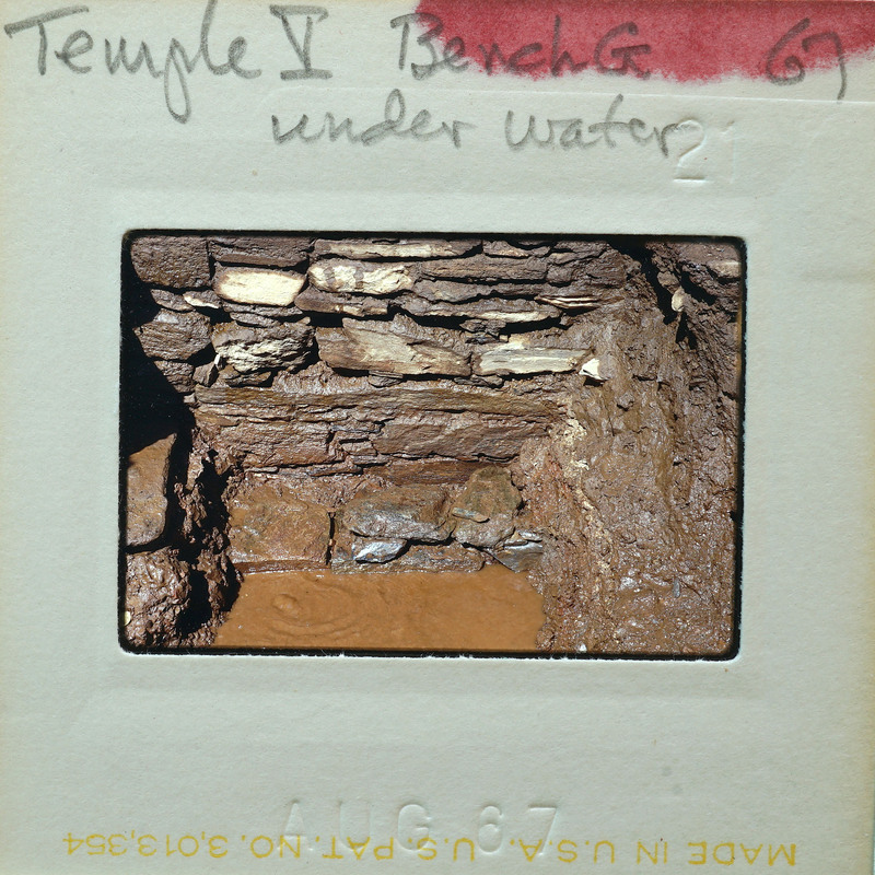An underwater view of an ancient stone structure, likely a part of Temple II at Tikal.