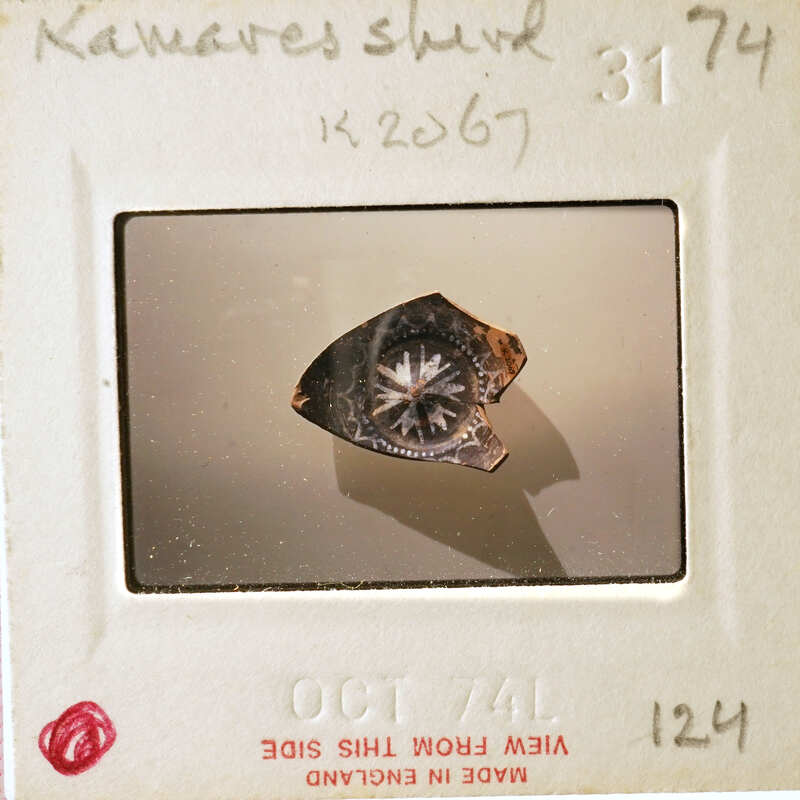 A small, round, dark object with a star-like pattern on it, photographed and displayed in a white box with labels.