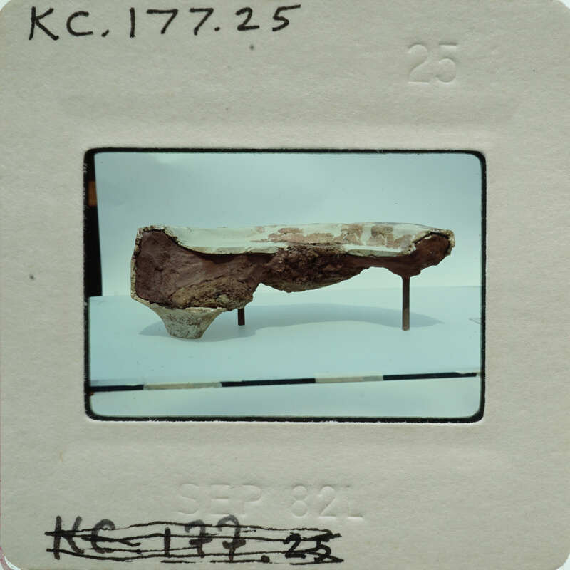 A photograph of a plaster fragment from the side on display.