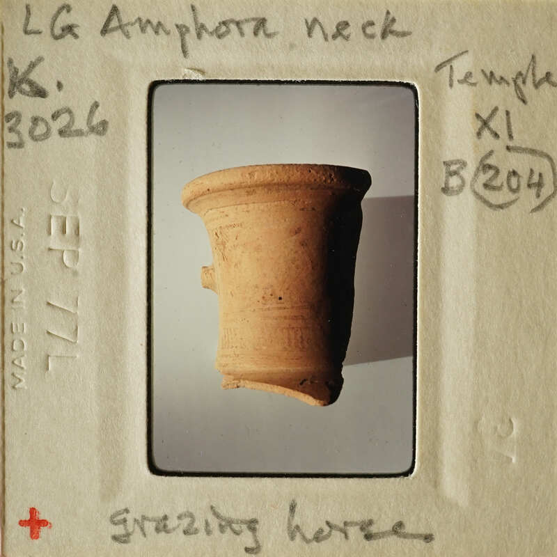 Ancient Greek amphora on display.