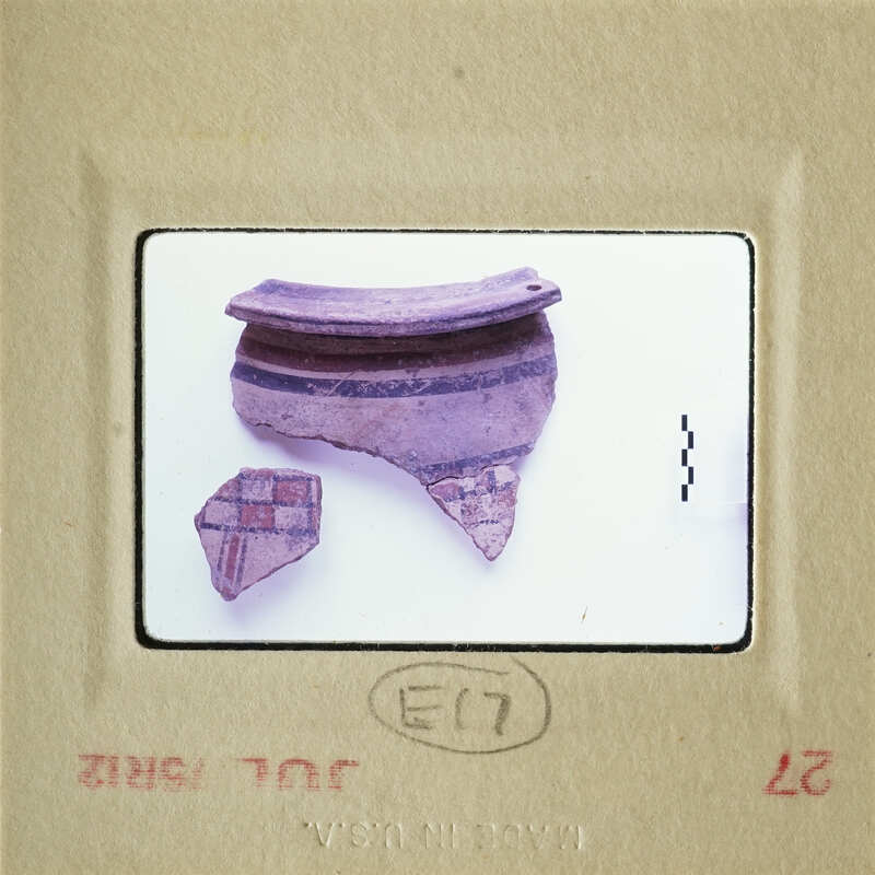 Ancient pottery shards with decorative patterns on display.