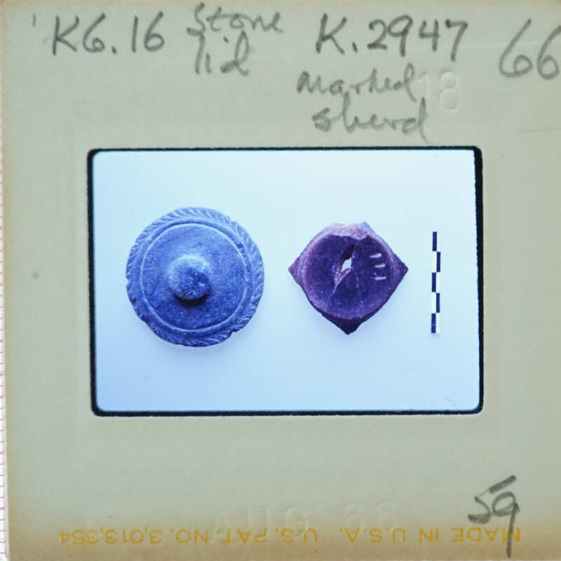 Two small, round objects with a metallic sheen on a white surface.