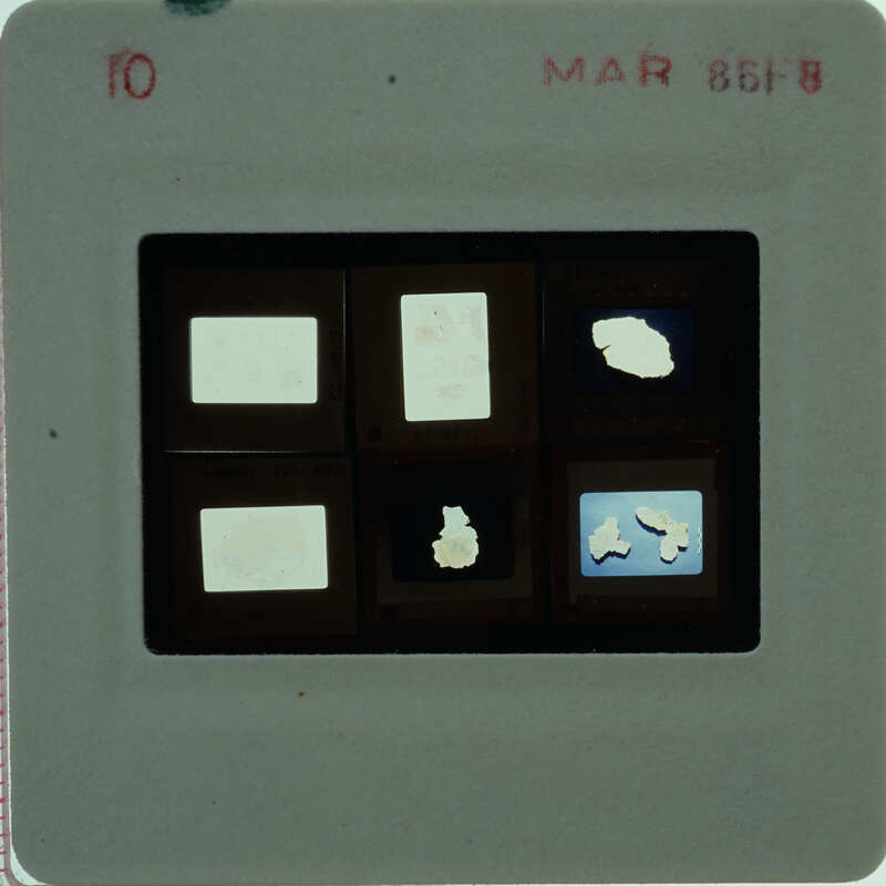 A slide of multiple slides of painted wall plaster fragments