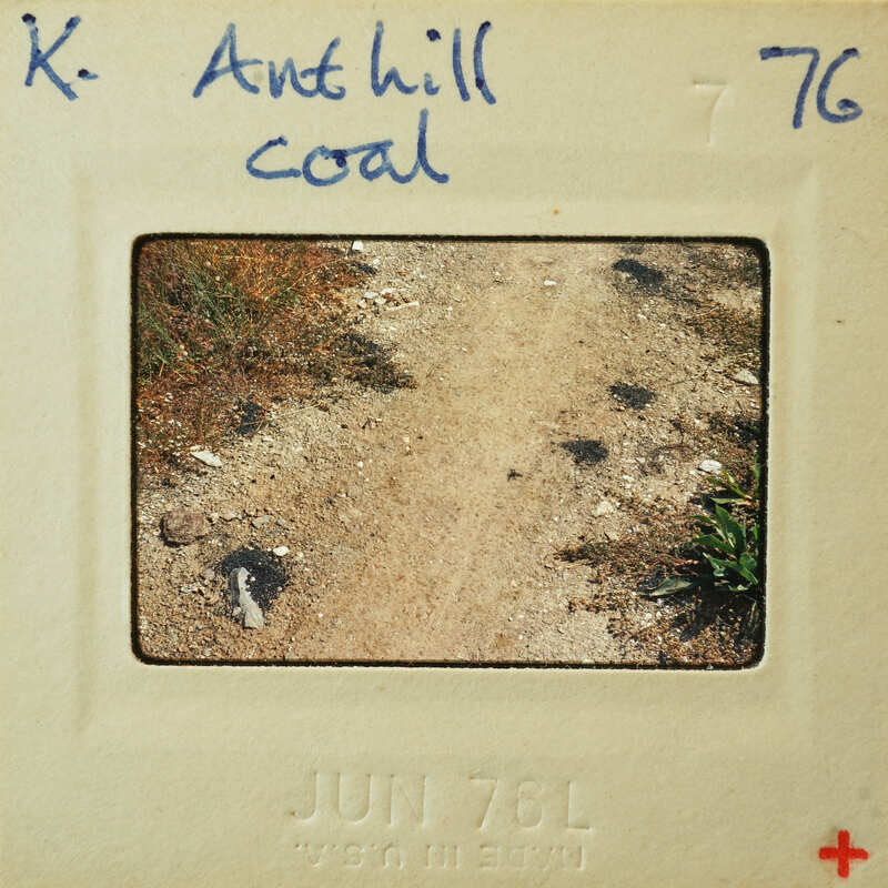 A photograph of a dirt road with footprints, enclosed within an old-fashioned film strip frame.