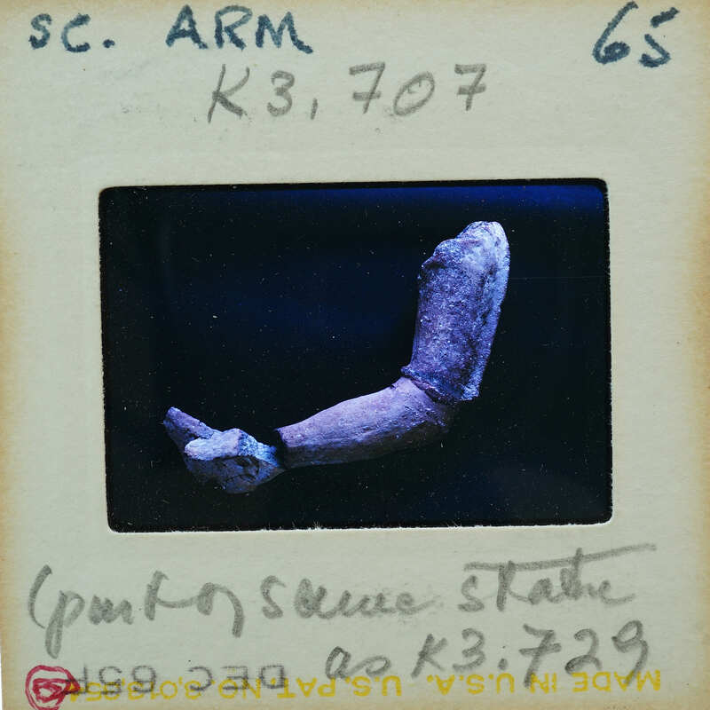A photograph of a fossilized bone fragment with handwritten notes on an old-fashioned film strip.