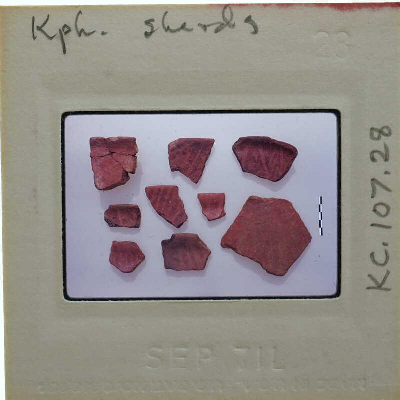 A collection of red ceramic shards on a white surface.
