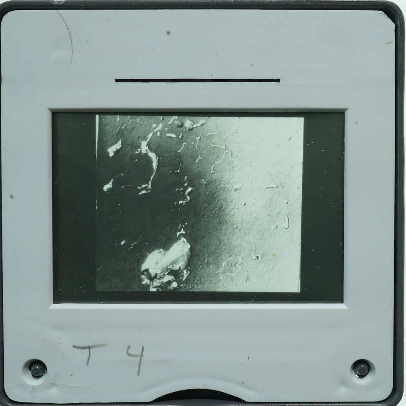 Microscopic detail of stone surface with small circles.