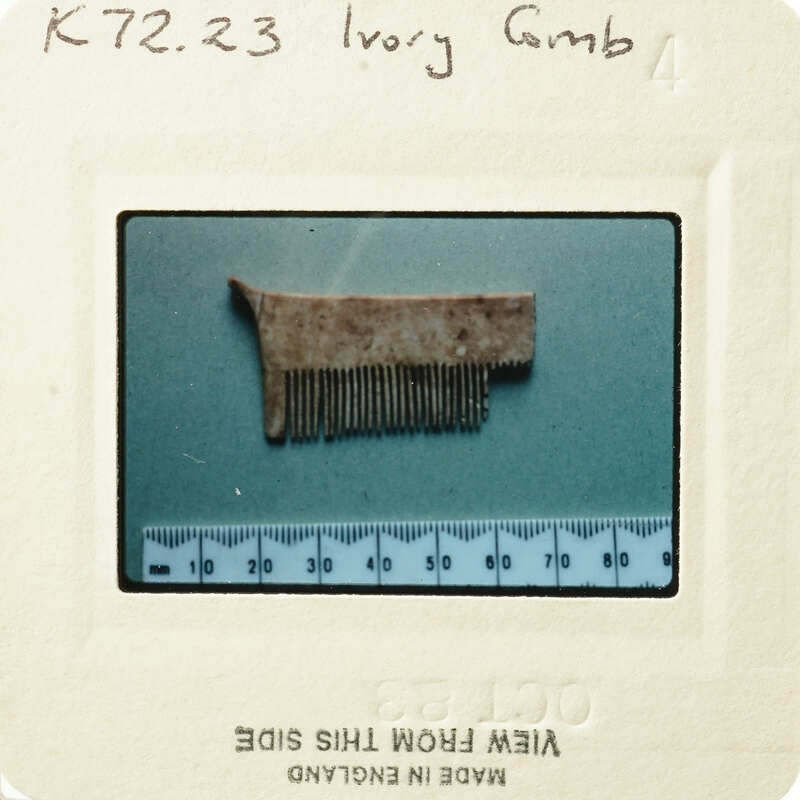 Old photograph of a human hair follicle with measurement scale.