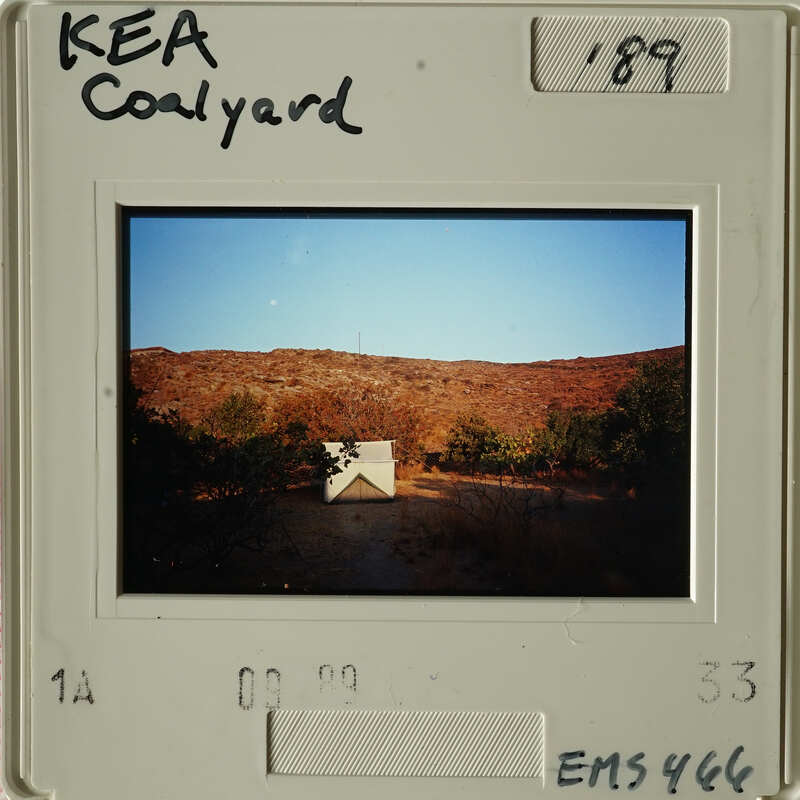 A photograph of a house on a hillside with trees and shrubs, taken during sunset.
