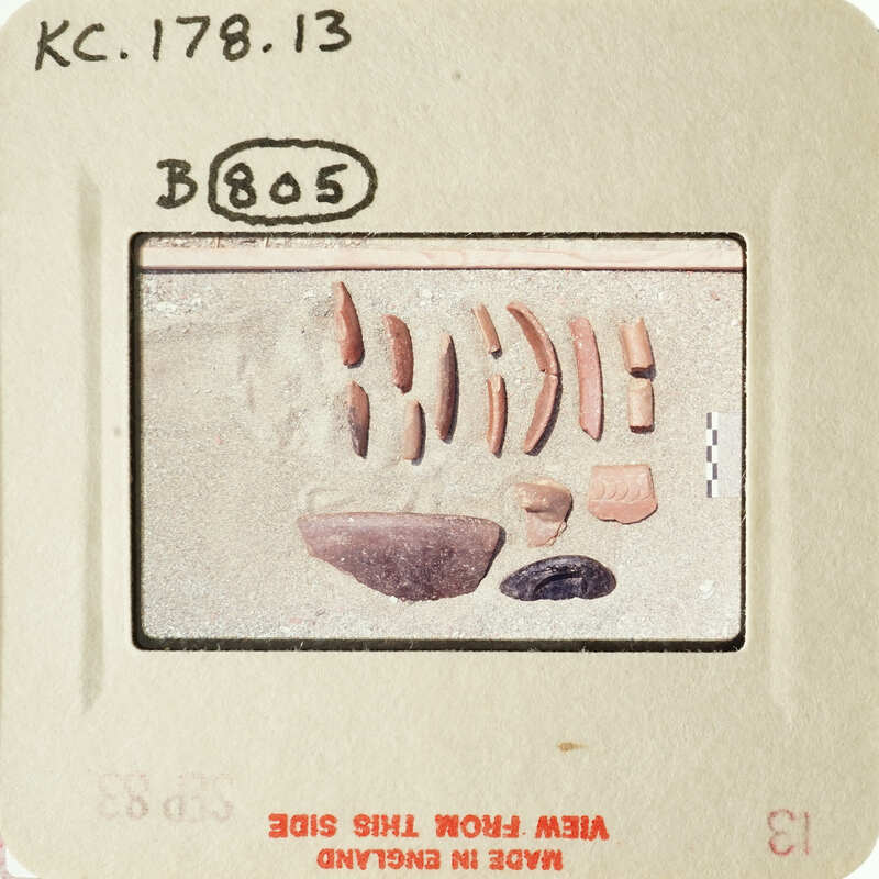 Old photograph showing an array of fossilized teeth and bones.