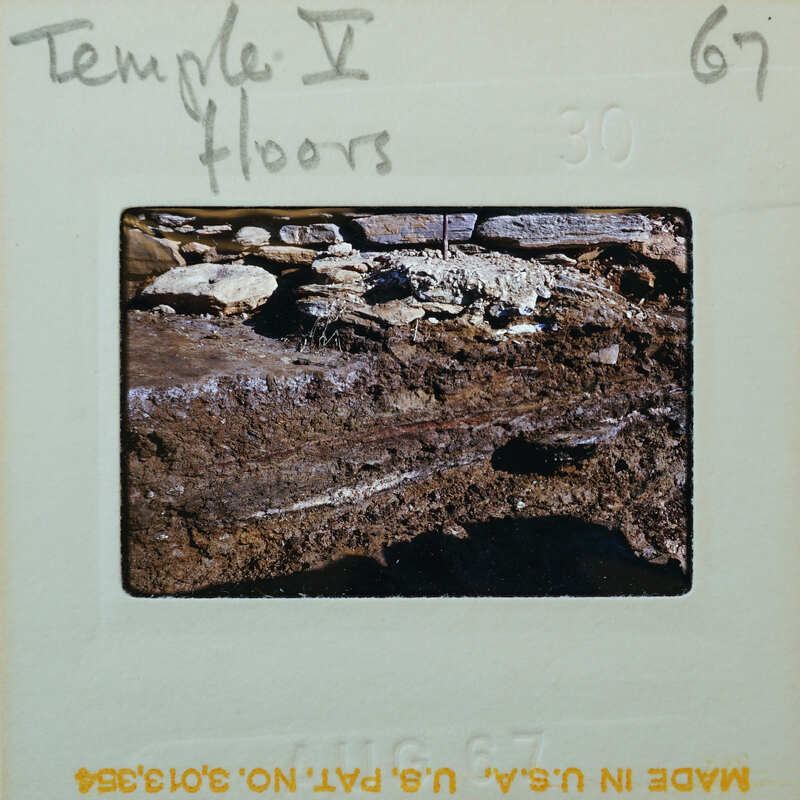 Excavated wall with visible layers and artifacts.