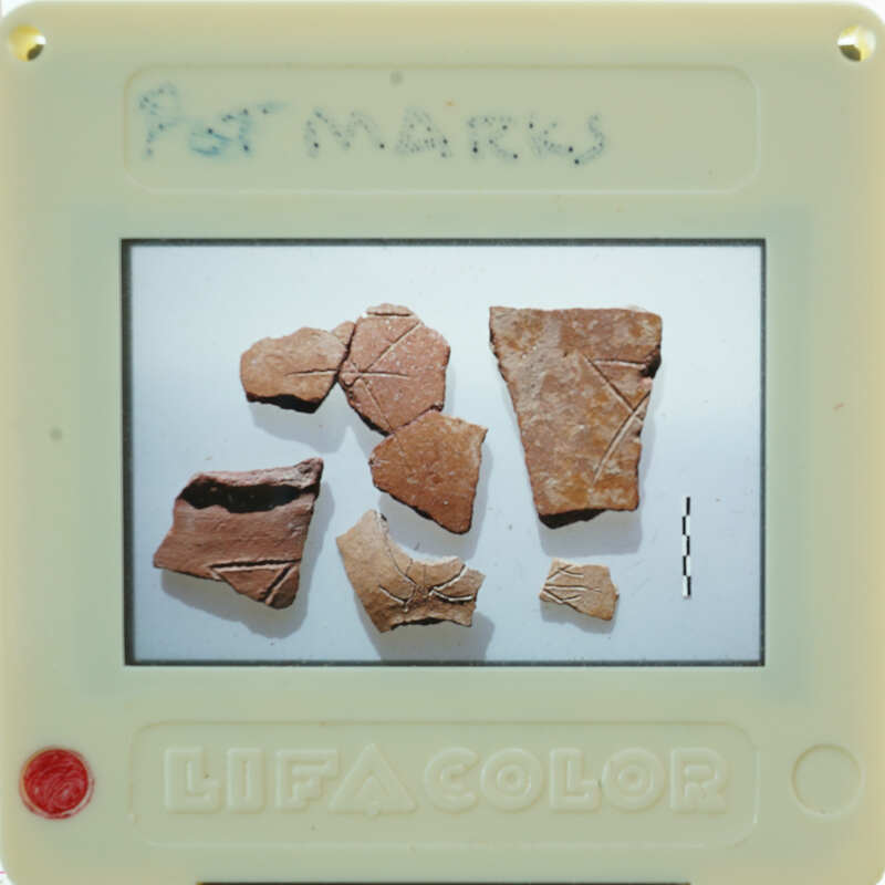 A collection of broken pottery pieces displayed on a white surface.