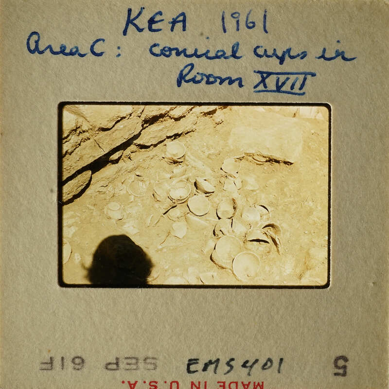 A collection of conical cups on display in an area labeled as "Area C" with a date of 1961.