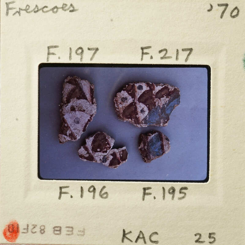 Small, colorful rocks on a white surface.