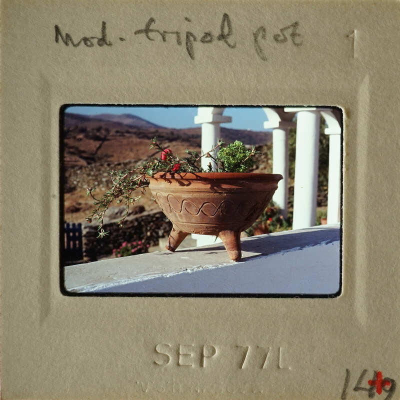 A terracotta pot with flowers on a balcony railing.
