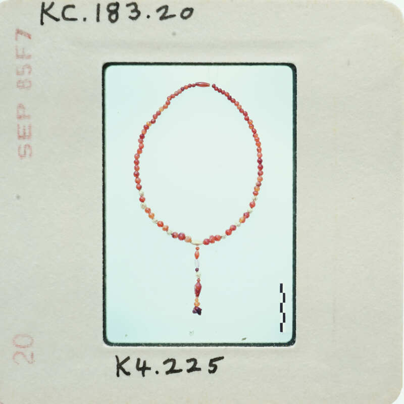 Red beaded necklace on a white background.