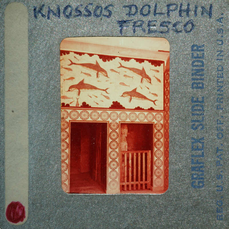 Wall section showing doorways and painted dolphins above.