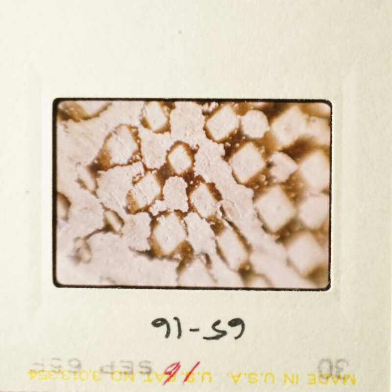 This is an image of a microscopic view of a diamond pattern of white on red-brown background.