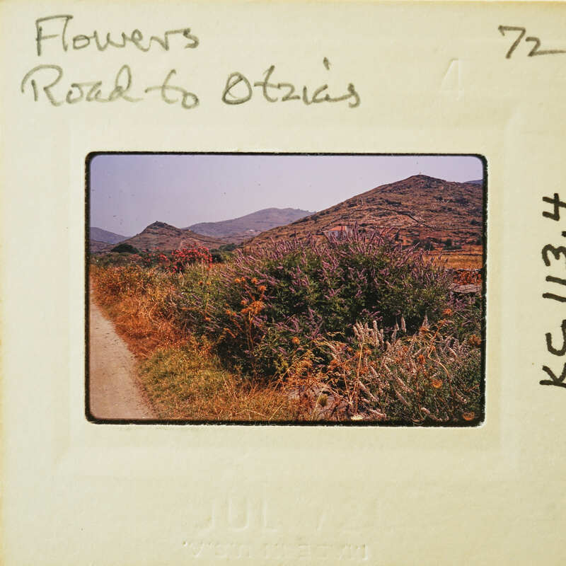 A vintage photograph of a rural road with mountains in the background, labeled "Flowers Road to Otis" and dated from the 1970s.