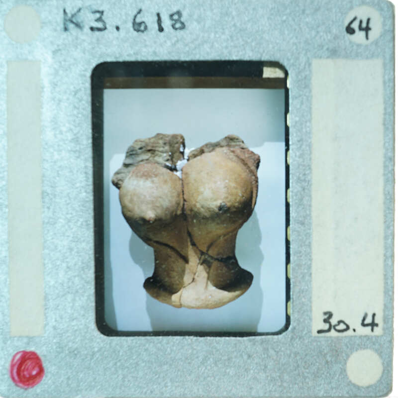 Terracotta figurine torso from front.