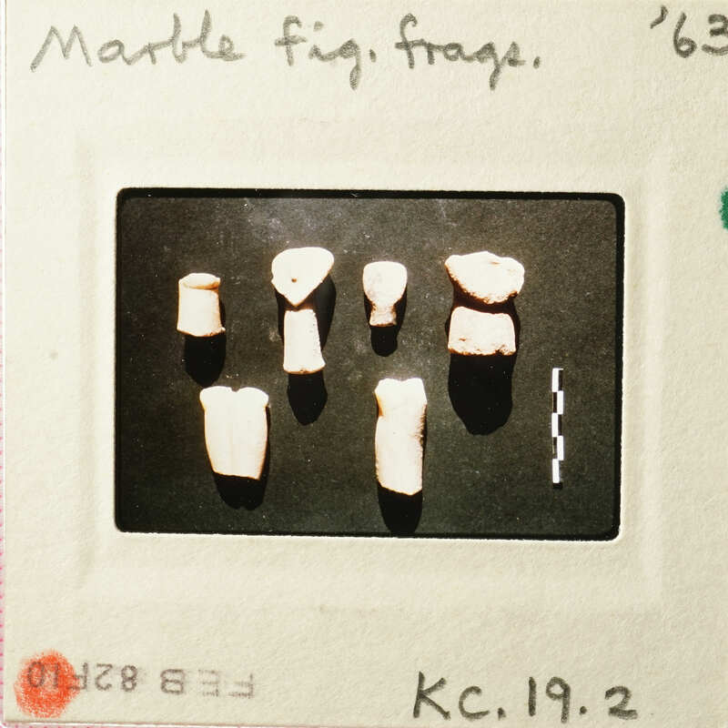 A collection of small, ancient teeth displayed on a black background.