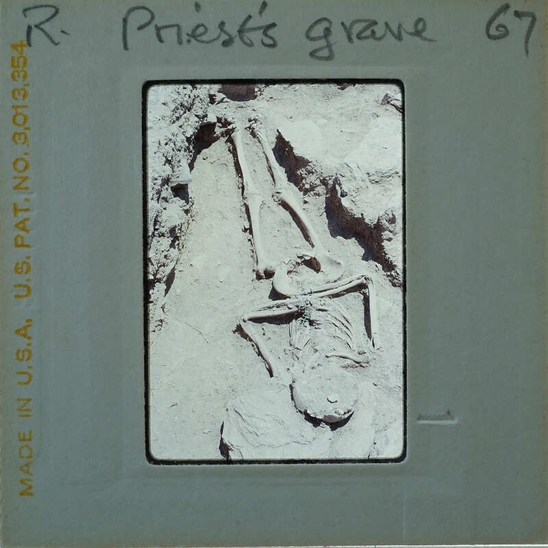 Ancient skeleton found in a cave, with bones and skull partially exposed.