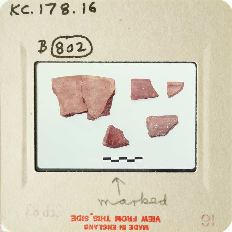 A collection of small, fragmented red objects on a white surface with labels and markings.