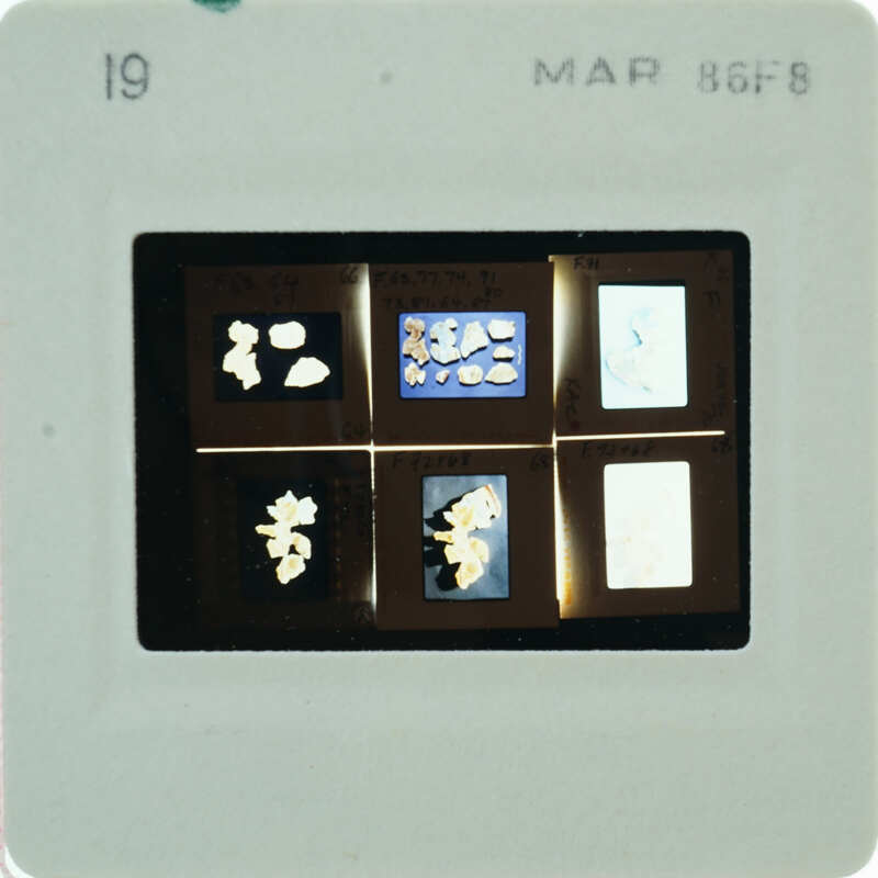 A close-up image of a film strip with multiple small images