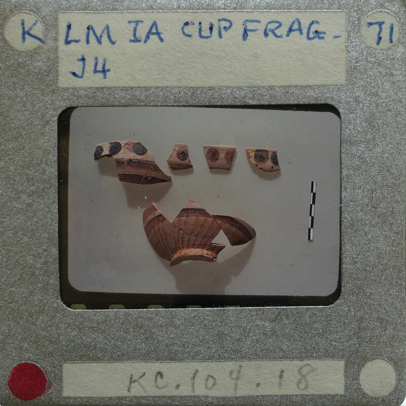Fragments of a single cup.