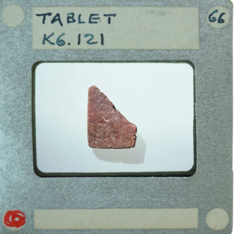 A small, irregularly shaped rock displayed on a white surface within a photograph.