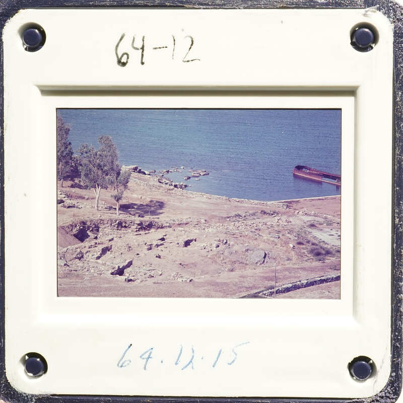 Photograph of a coastal landscape with trees and water.