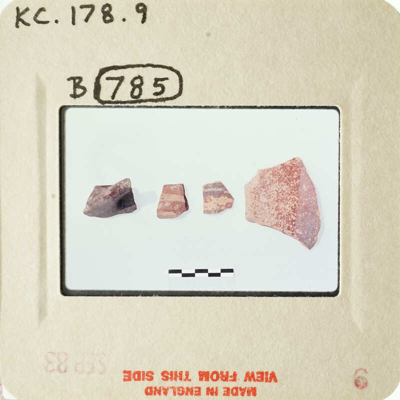 Four small, dark-colored objects on a white surface.