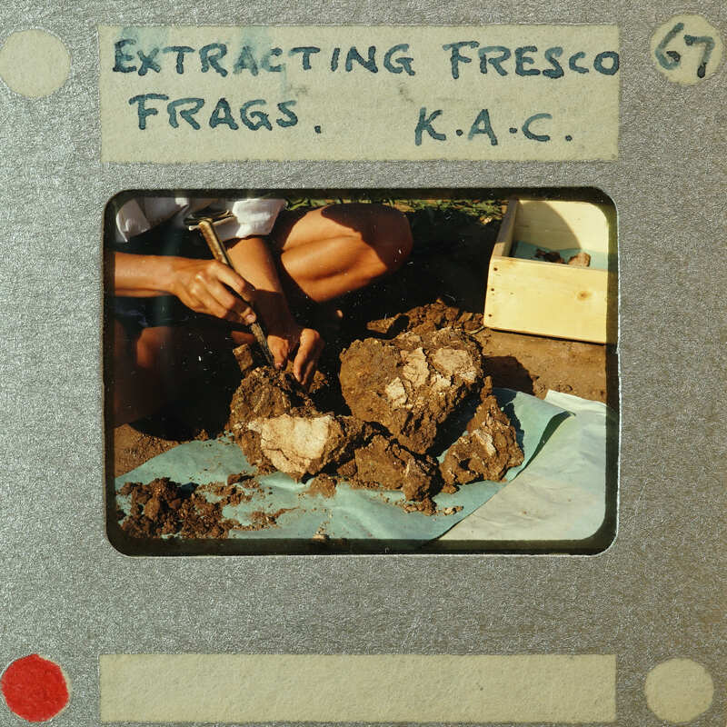 Person extracting fossil from rock with tool.