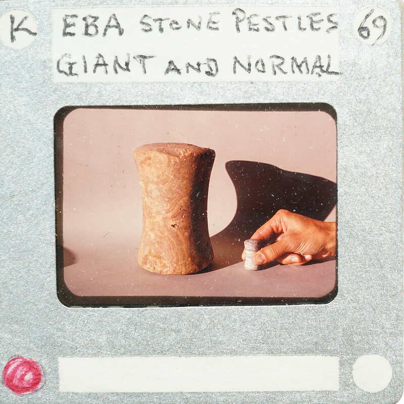 A hand holding a small stone pestle next to a larger one, with the words "EBA Stone Pestles Giant and Normal" written above it.