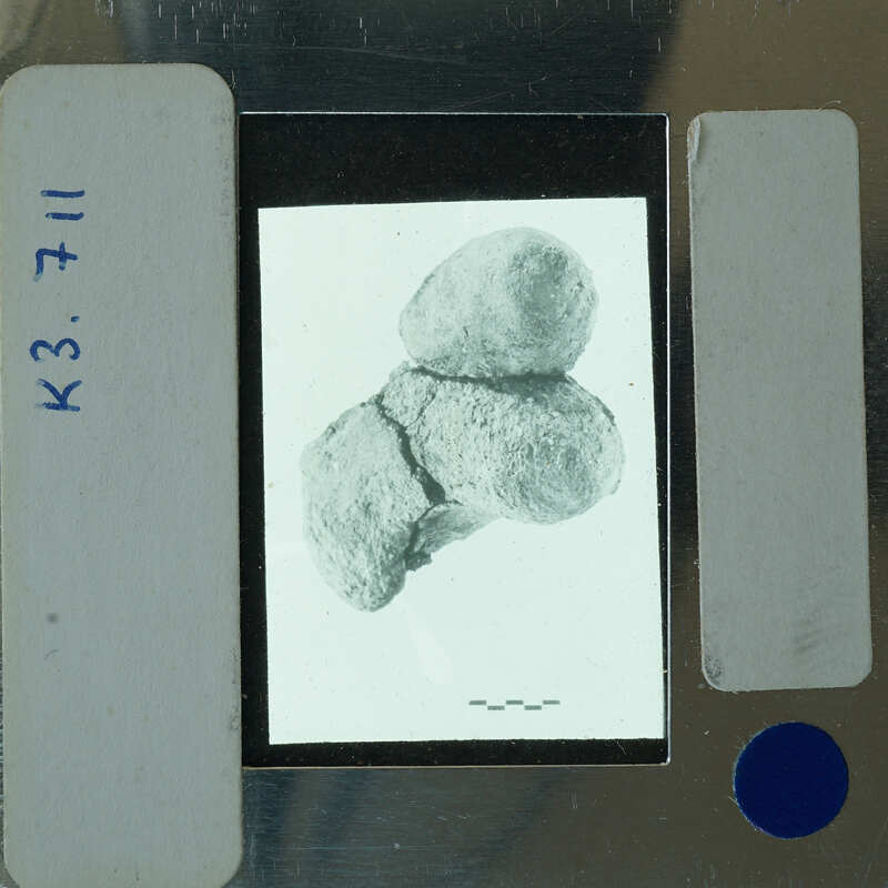 A small, round object on a film strip with labels and numbers around it.