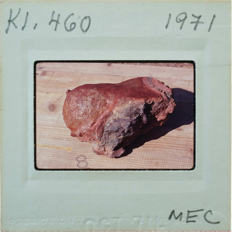 Terracotta breast fragment lying on table K1.460.