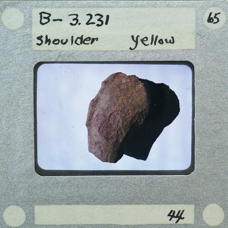 A photograph of a rock with a label indicating it's from the shoulder area, identified as B-3.261 and marked yellow.