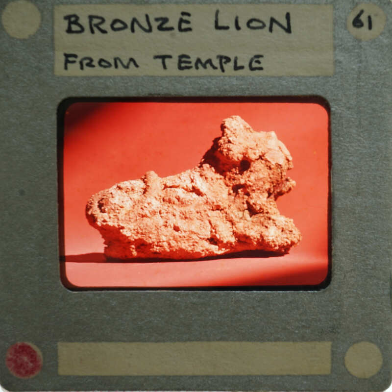 Bronze lion figurine on a film strip card.