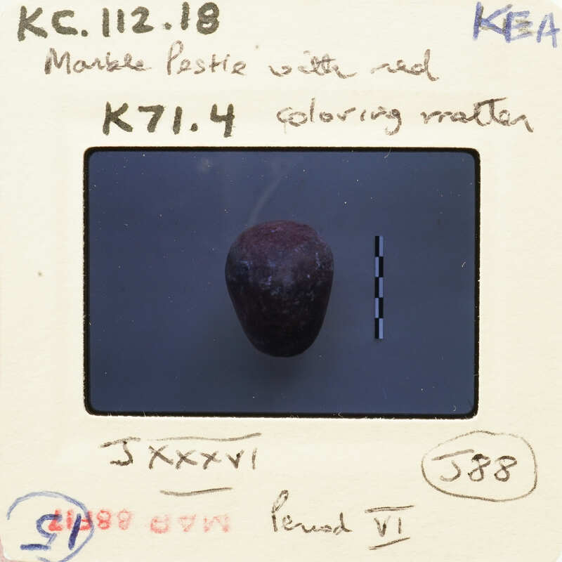 Small ovoid object on white surface with handwritten notes and measurements.