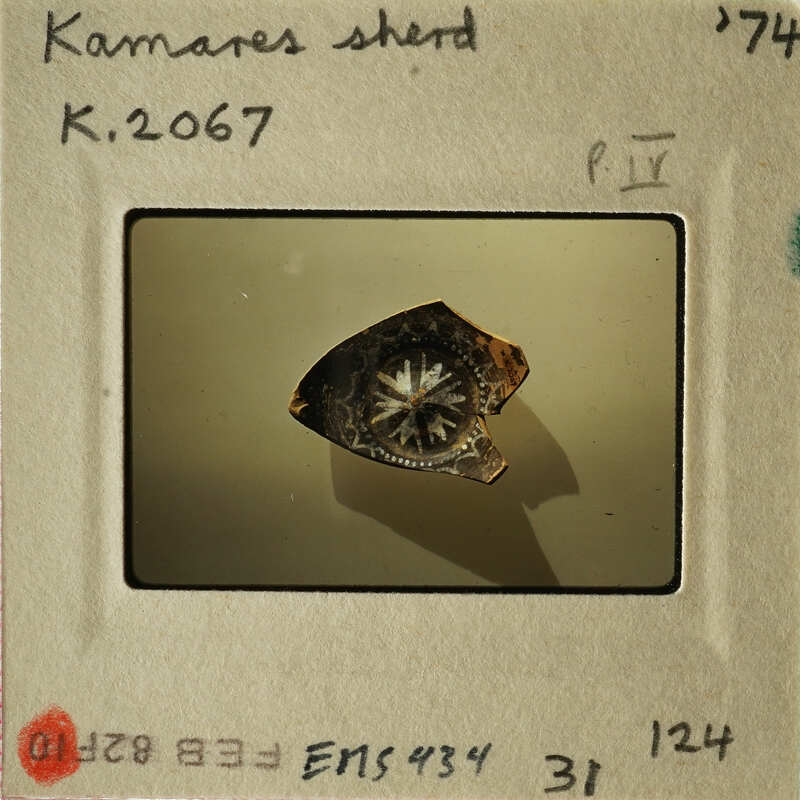 Close-up photograph of an object with concentric circles, possibly a fossil or artifact.