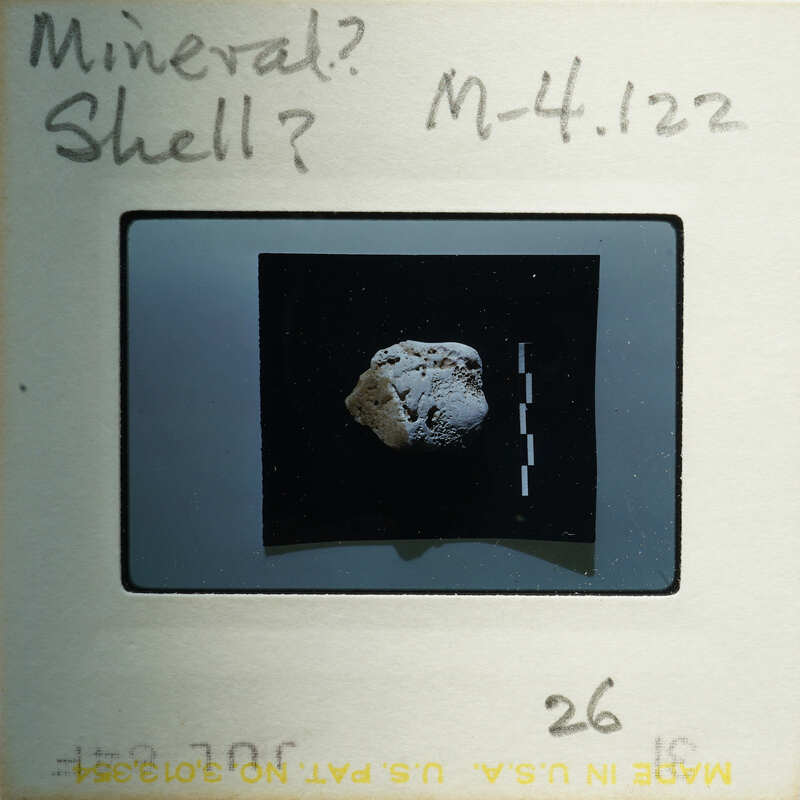 Small rock on a tray with measurement markings and labels.