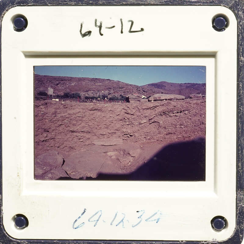 Desert landscape with mountains in the background.